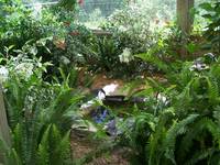 Highlight for Album: habitats for permanent residents